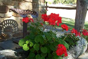 Adelaide Hills Country Cottages - Gum Tree Cottage - Accommodation Mermaid Beach 3