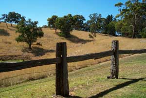 Adelaide Hills Country Cottages - Gum Tree Cottage - Accommodation Mermaid Beach 4