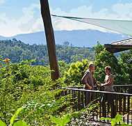 Rose Gums Wilderness Retreat - Accommodation Mermaid Beach
