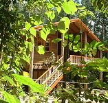 Rivers Edge Rainforest Retreat - Accommodation Mermaid Beach