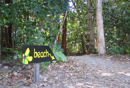 Cape Tribulation Camping - Accommodation Mermaid Beach 2