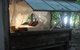 Haggerstone Island Guest House - thumb 4