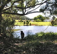Newry Park Cottage - Accommodation Mermaid Beach