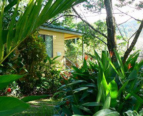 Daintree Valley Haven - Accommodation Mermaid Beach 0