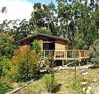 Southern Forest Accommodation - Accommodation Mermaid Beach
