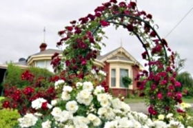 Golden Embers Apartments And B And B - Accommodation Mermaid Beach 0
