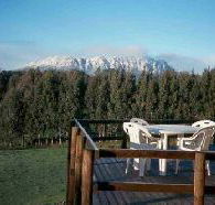 White Hawk Accommodation - Accommodation Mermaid Beach