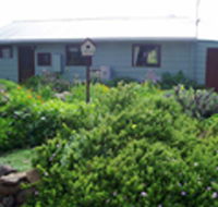 Engadine Cottage - Accommodation Mermaid Beach