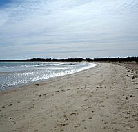 Greens Beach Caravan Park - Accommodation Mermaid Beach