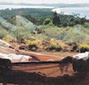 Morella Island Retreats P/L - Accommodation Mermaid Beach