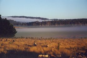 Lemont TAS Accommodation Mermaid Beach