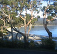Bruny Island Retreat - Accommodation Mermaid Beach