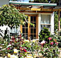 Thelma Retreat - Accommodation Mermaid Beach