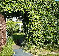 Kirra Guest House - Accommodation Mermaid Beach