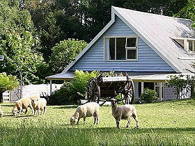 Hide-Away Cottage Retreat - Accommodation Mermaid Beach 0