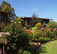 Mole Creek Holiday Village - Accommodation Mermaid Beach