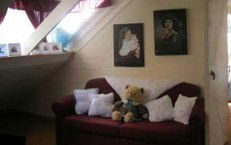 Hide-Away Cottage Retreat - Accommodation Mermaid Beach 1