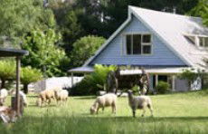 Hide-Away Cottage Retreat - Accommodation Mermaid Beach 2