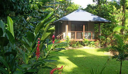 Lost Paradise - Accommodation Mermaid Beach 0
