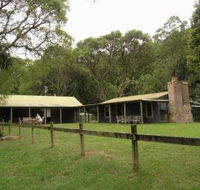 Tree Fern Lodge - Accommodation Mermaid Beach