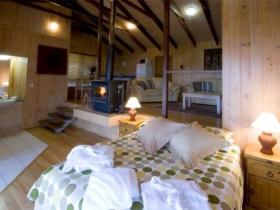 Treetops Seaview Montville - Accommodation Mermaid Beach 0