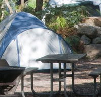 Booderee National Park - Accommodation Mermaid Beach