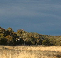 Namadgi National Park - Accommodation Mermaid Beach