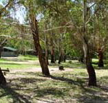 Woods Reserve - Accommodation Mermaid Beach