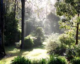 The Bawley Bed And Breakfast - Accommodation Mermaid Beach 2