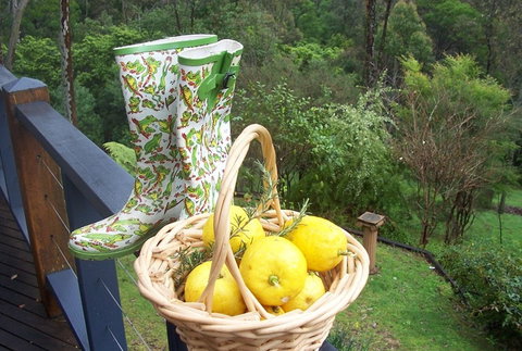 Bellbird Cottage Bed And Breakfast - Accommodation Mermaid Beach 4