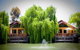 Perricoota Vines Retreat - thumb 0