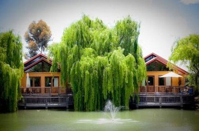 Perricoota Vines Retreat - Accommodation Mermaid Beach 0