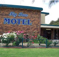 Fig Tree Motel - Accommodation Mermaid Beach