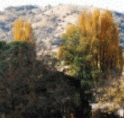 Birches Bed and Breakfast at Nundle - Accommodation Mermaid Beach
