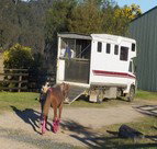 Apptrak Stud - Accommodation Mermaid Beach 1