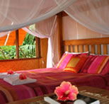 1770 Beach Shacks - Accommodation Mermaid Beach