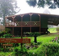 UTM - Holiday Home - Accommodation Mermaid Beach