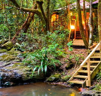 The Mouses House - Rainforest Retreat - Accommodation Mermaid Beach