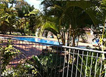 Dreamtime Caravan Park - Accommodation Mermaid Beach 2
