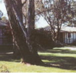 Winbi River Resort - Accommodation Mermaid Beach