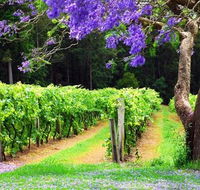 Bago Vineyards - Accommodation Mermaid Beach