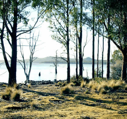 Blue Lake Lodge - Accommodation Mermaid Beach 5