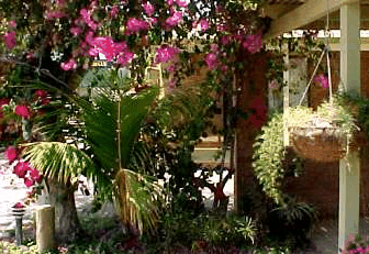 Denham Villas - Accommodation Mermaid Beach