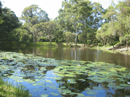 Santa Fe Luxury Bed And Breakfast - Accommodation Mermaid Beach 3