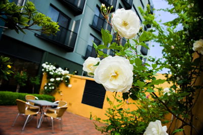 The Old Woolstore Apartment Hotel - Accommodation Mermaid Beach 5