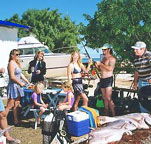 Shark Bay Cottages - Accommodation Mermaid Beach