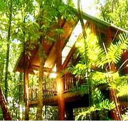 The Canopy Treehouses - Accommodation Mermaid Beach