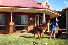 Accommodation Mermaid Beach