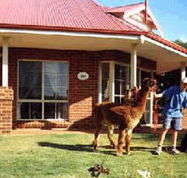 Brilea Cottages - Accommodation Mermaid Beach