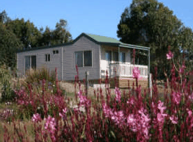 Daysy Hill Country Cottages - Accommodation Mermaid Beach 5